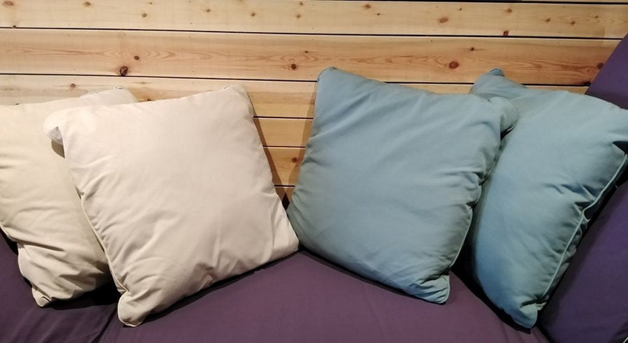 Pair of Large Scatter Cushions