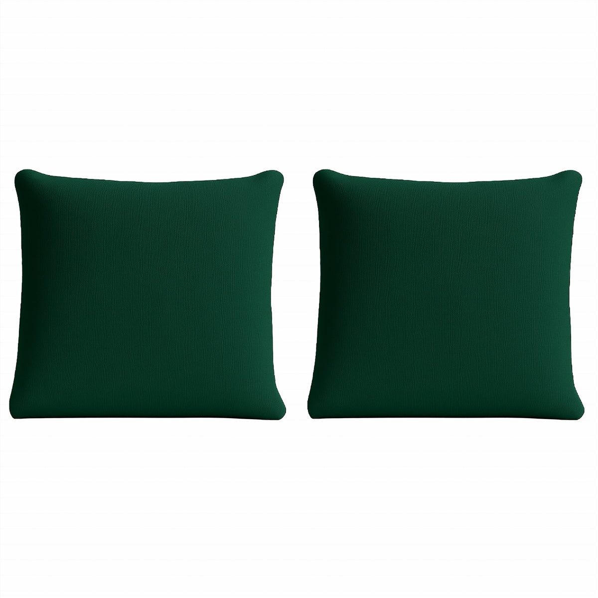 Pair of Large Scatter Cushions