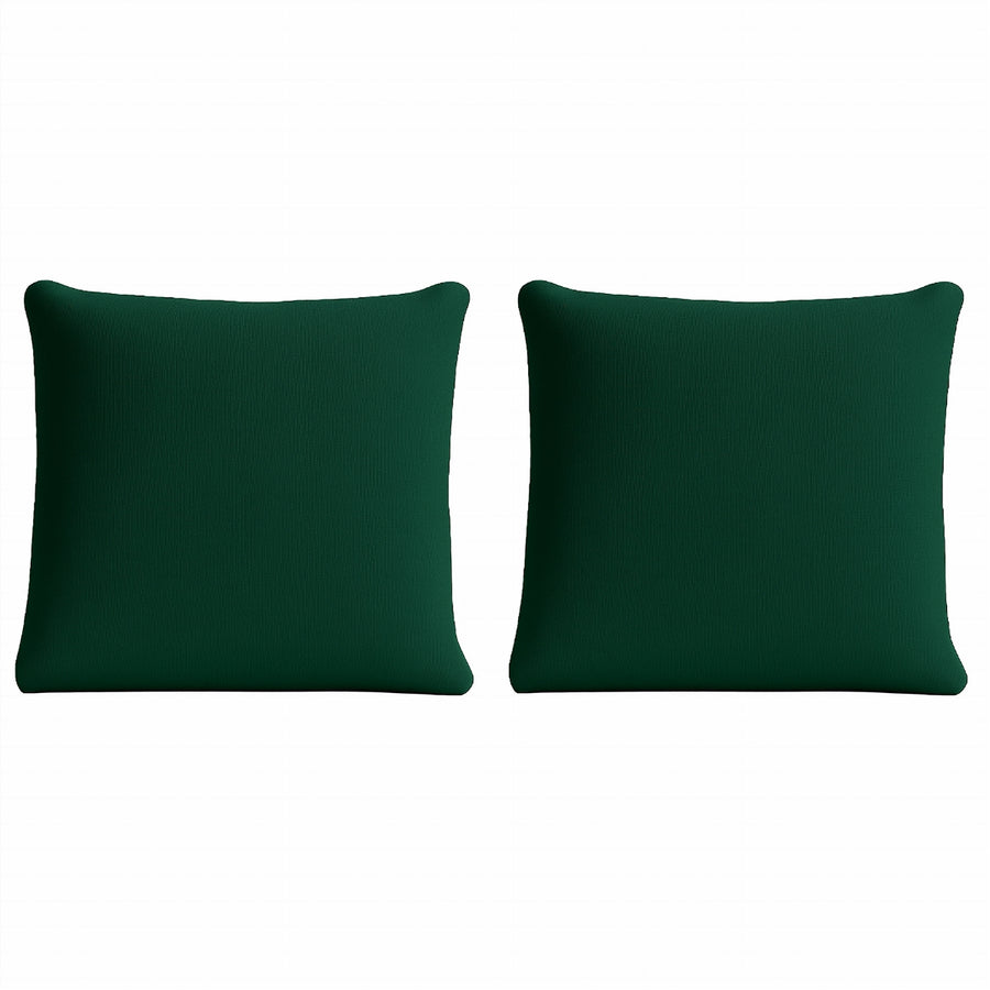 Pair of Large Scatter Cushions
