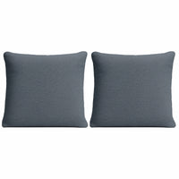 Thumbnail for Pair of Large Scatter Cushions