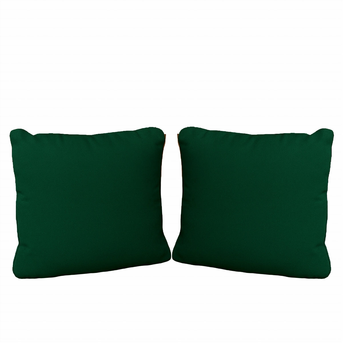 Pair of Scatter Cushions