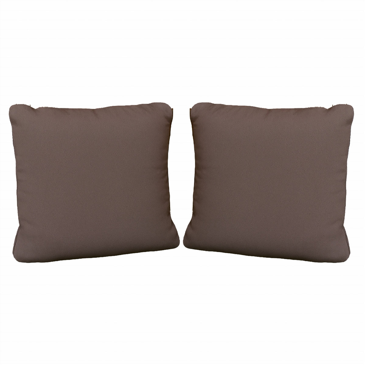 Pair of Scatter Cushions
