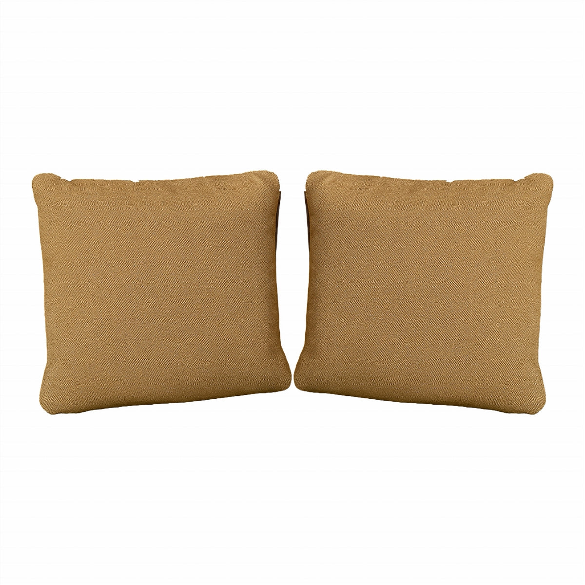Pair of Scatter Cushions