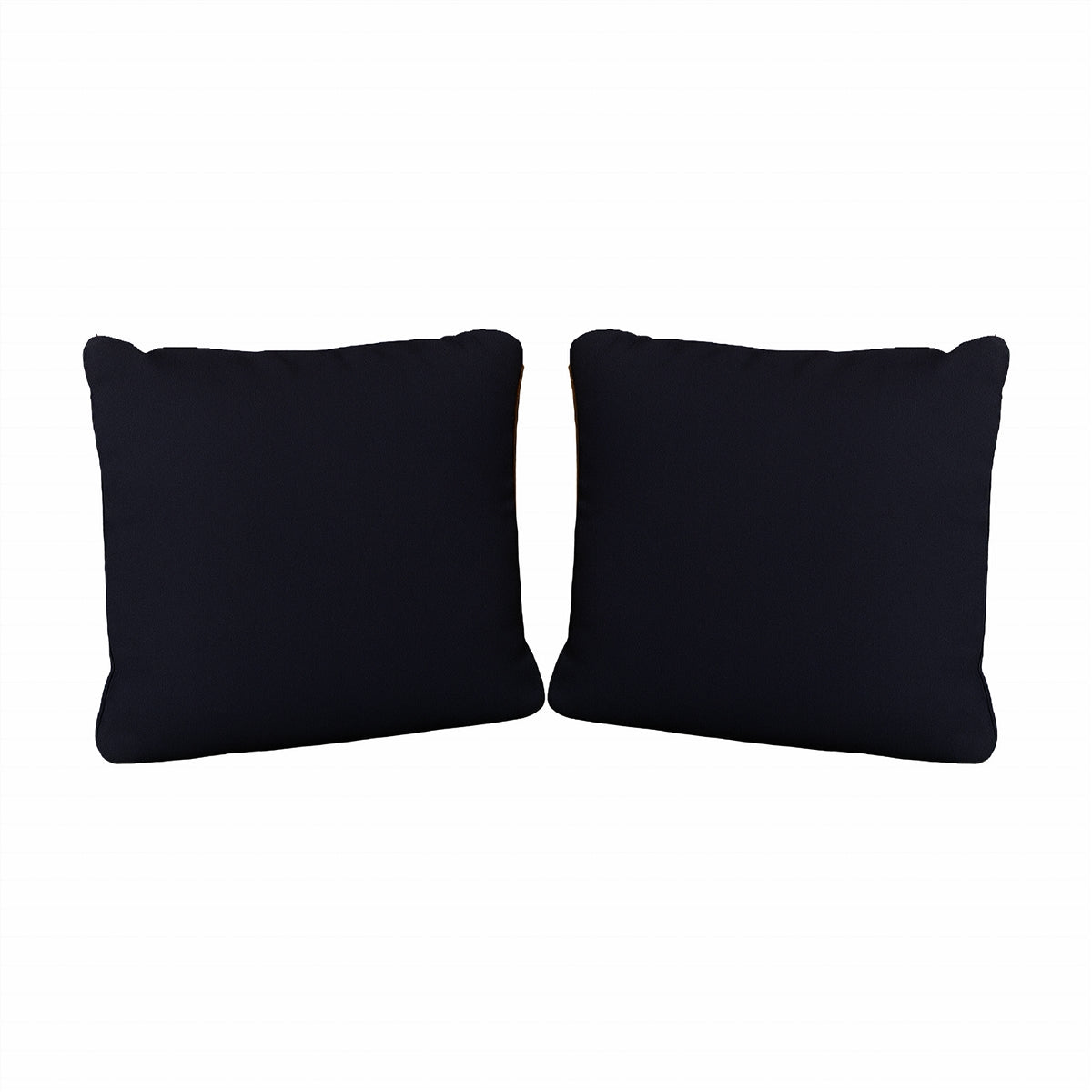Pair of Scatter Cushions