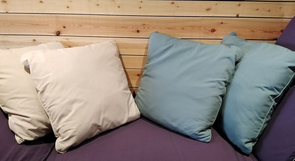 Pair of Large Scatter Cushions